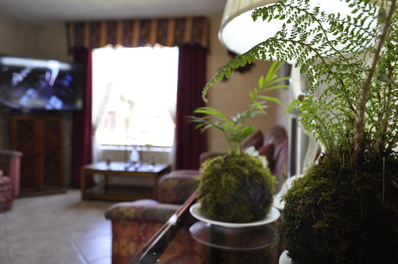 Santa Elena De Maipo Home 테무코 외부 사진